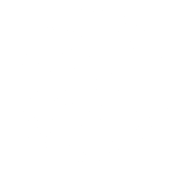 NZICA Logo