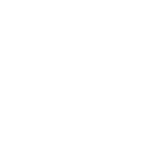 NZICA Logo