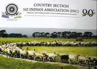 csnzia